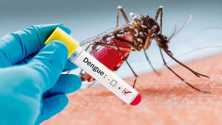 Reiteran que la prevención del dengue empieza por casa